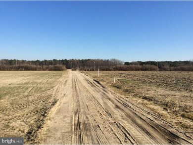 L1 Piney Hollow Rd, Newfield, NJ 08344 - photo 5