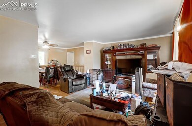 Living room featuring wood-type flooring, ornament