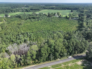 Rd unit LotWP001, Zebulon, NC 27597 - photo 5