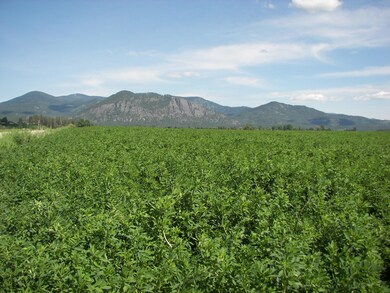 000 Schmidlekofer Rd, Chewelah, WA 99109 - photo 5