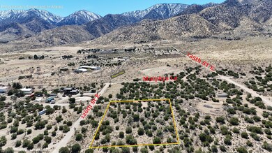 E 03. DJI_20250323122507_0095_D
