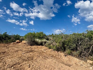 View of local wilderness