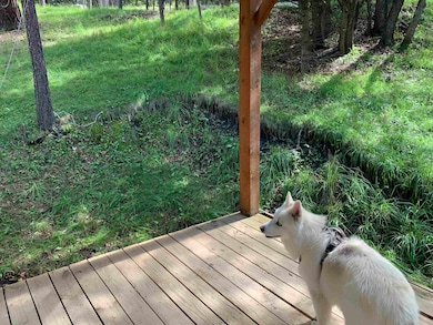 55 Ponderosa Pines Trail, Cloudcroft, NM 88317 - photo 6