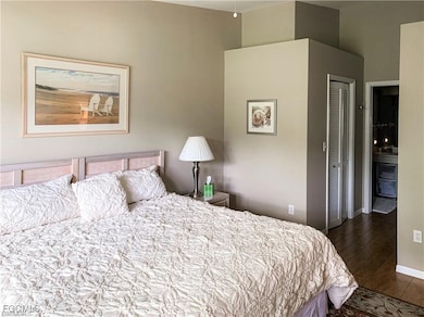 Bedroom featuring dark wood-style flooring, a closet, and connected bathroom