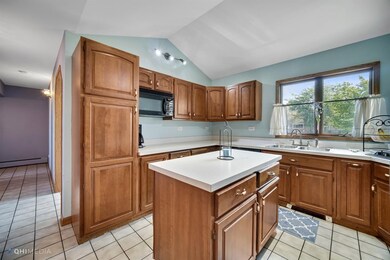 13054 Rhode St, Cedar Lake, IN 46303 - photo 4