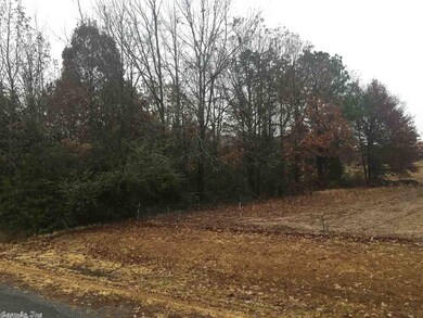 0 Zebulin Dr, Heber Springs, AR 72543 - photo 5