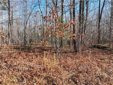 Lot 8 Peninsula Road Rd, Hayward, WI 54843 - photo 3