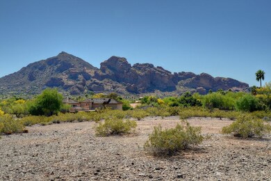 Lot View (3) (1)