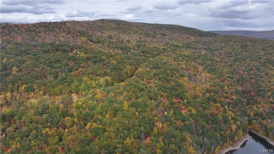 L1 Huntley Hollow Rd, Delancey, NY 13752 - photo 3