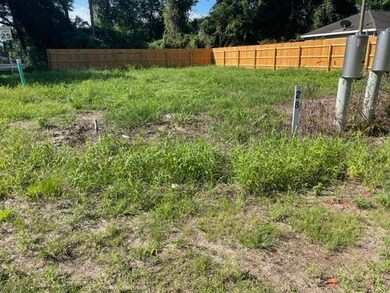 XXX Dr Mlk jr Rd, Crawfordville, FL 32327 - photo 3