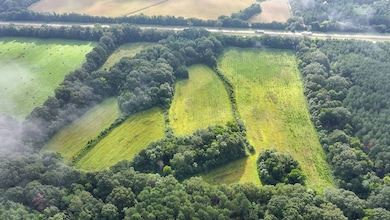 5302 Bend Rd, Vaughan, MS 39179 - photo 5