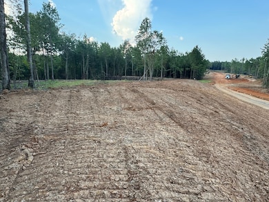 0 Arvada Dr unit 24059220, Northport, AL 35473 - photo 2