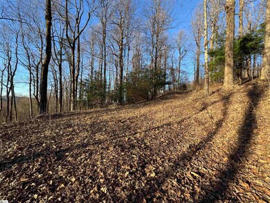 246 Bella Vista Ct unit CVN-CM-009, Zirconia, NC 28790 - photo 5