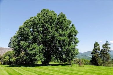 352 Galli Curci Rd, Highmount, NY 12441 - photo 7