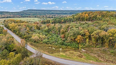 TRACT 4 - 13610 Arkansas 105, Hector, AR 72843 - photo 3