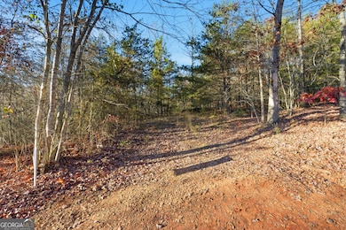201 Spookhaven Ln, Clarkesville, GA 30523 - photo 5