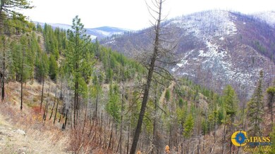 0 Swamp Creek Rd unit 25712607, Plains, MT 59859 - photo 4