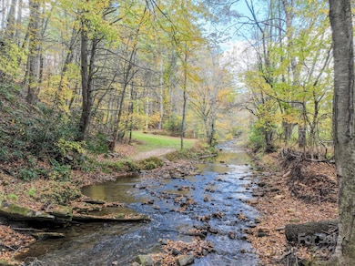 126 Lower Nettle Knob Rd, West Jefferson, NC 28694 - photo 4