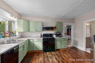 417 Sanborn Ave, Big Rapids, MI 49307 - photo 7