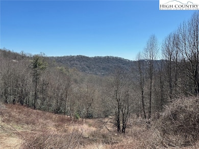 TBD Shulls Mill Rd, Blowing Rock, NC 28605 - photo 5