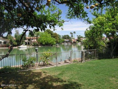 Large Grassy Back Yard