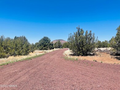 1156 E Hoctor Rd Photo 1