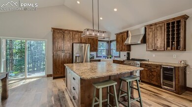 403 Silvermoon Heights, Divide, CO 80814 - photo 5