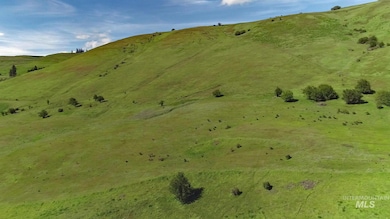 TBD Sunnyside Bench Rd, Lenore, ID 83541 - photo 4