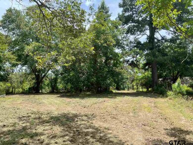 14450 State Highway 64 E, Tyler, TX 75707 - photo 4