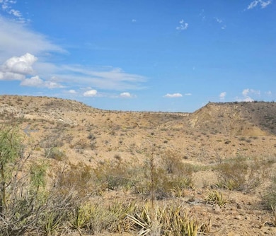 20 Smallpox Spring Loop, Terlingua, TX 79852 - photo 4