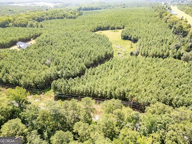 0 7 Island Rd unit 10560556, Monticello, GA 31064 - photo 7