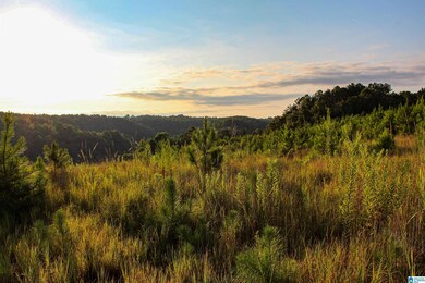 NoBusinessCreek Phillips Ln, Empire, AL 35063 - photo 4