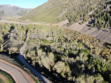 DJI_0306