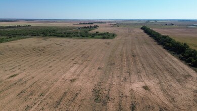 0 Tbd, Thalia, TX 79227 - photo 5