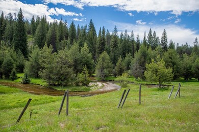 TBD 37 Clear Creek Rd, Cascade, ID 83611 - photo 6