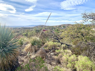 IMG_4598