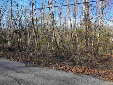 L-4 B-4 Powhatan Dr, Cherokee Village, AR 72529 - photo 5