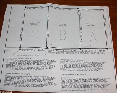 28141 New Hope Church Rd, Robertsdale, AL 36567 - photo 4