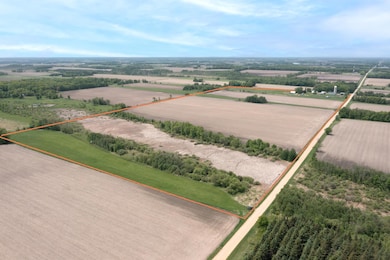 41936 County 75, Bertha, MN 56437 - photo 6