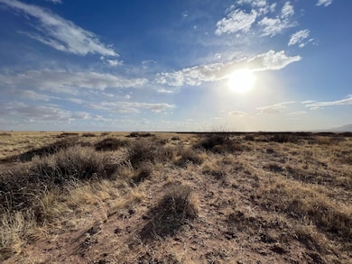 Leon Rd SE, Deming, NM 88030 - photo 7