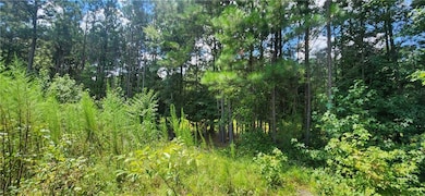 1318 Golden Way, Loganville, GA 30052 - photo 6