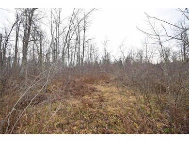 0 Cummings Rd, Dairyland, WI 54830 - photo 2