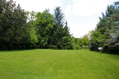 Large Fenced Backyard