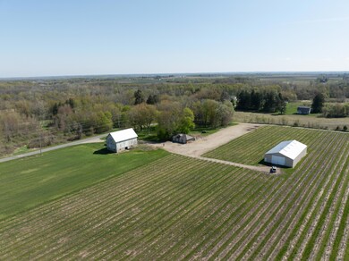 DJI_0387