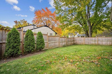 Shattuck backyard