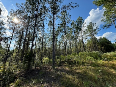 Plesant Rd, Camp Hill, AL 36850 - photo 2