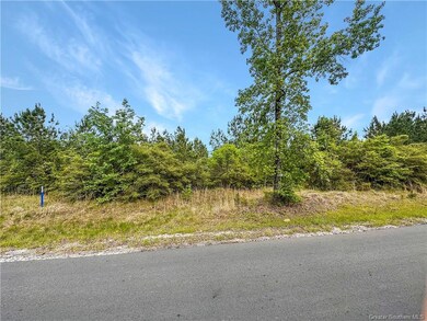 0 Tbd Lions Camp Lot 2 Rd, Anacoco, LA 71403 - photo 6