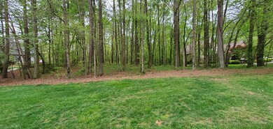 0 Falcon Dr, Dalton, GA 30721 - photo 3