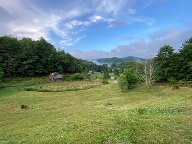 Lower Field