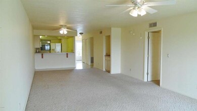Living-Dining area